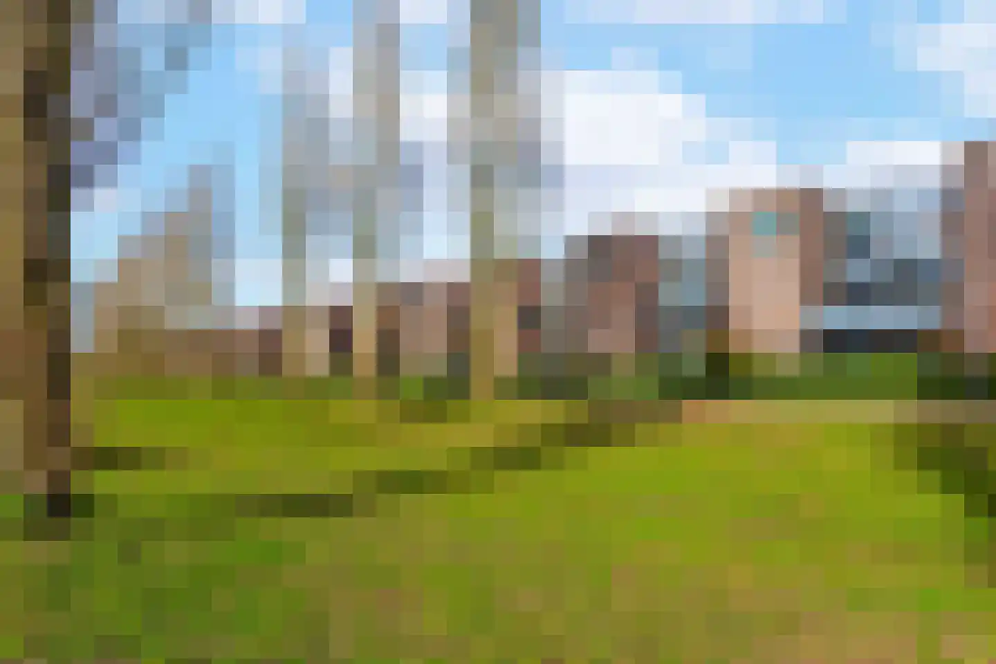 Leo Fallplantsoen 20 Utrecht thumbnail 51