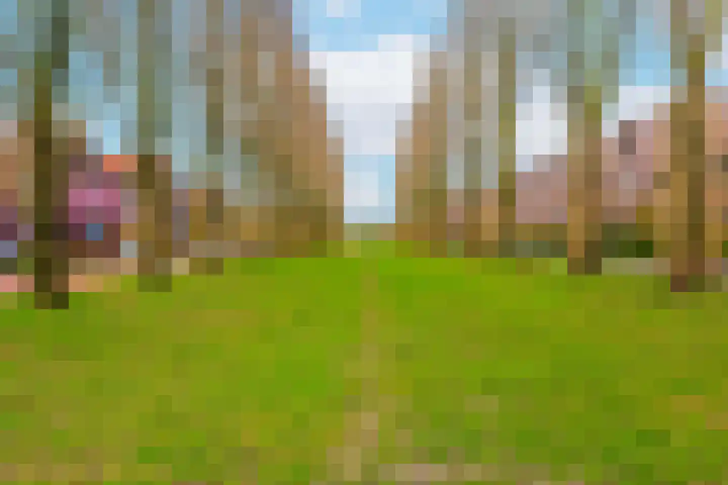 Leo Fallplantsoen 20 Utrecht thumbnail 52