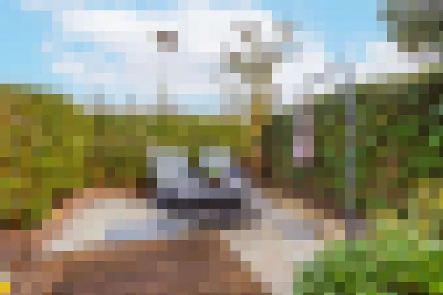 Leo Fallplantsoen 20 Utrecht thumbnail 57