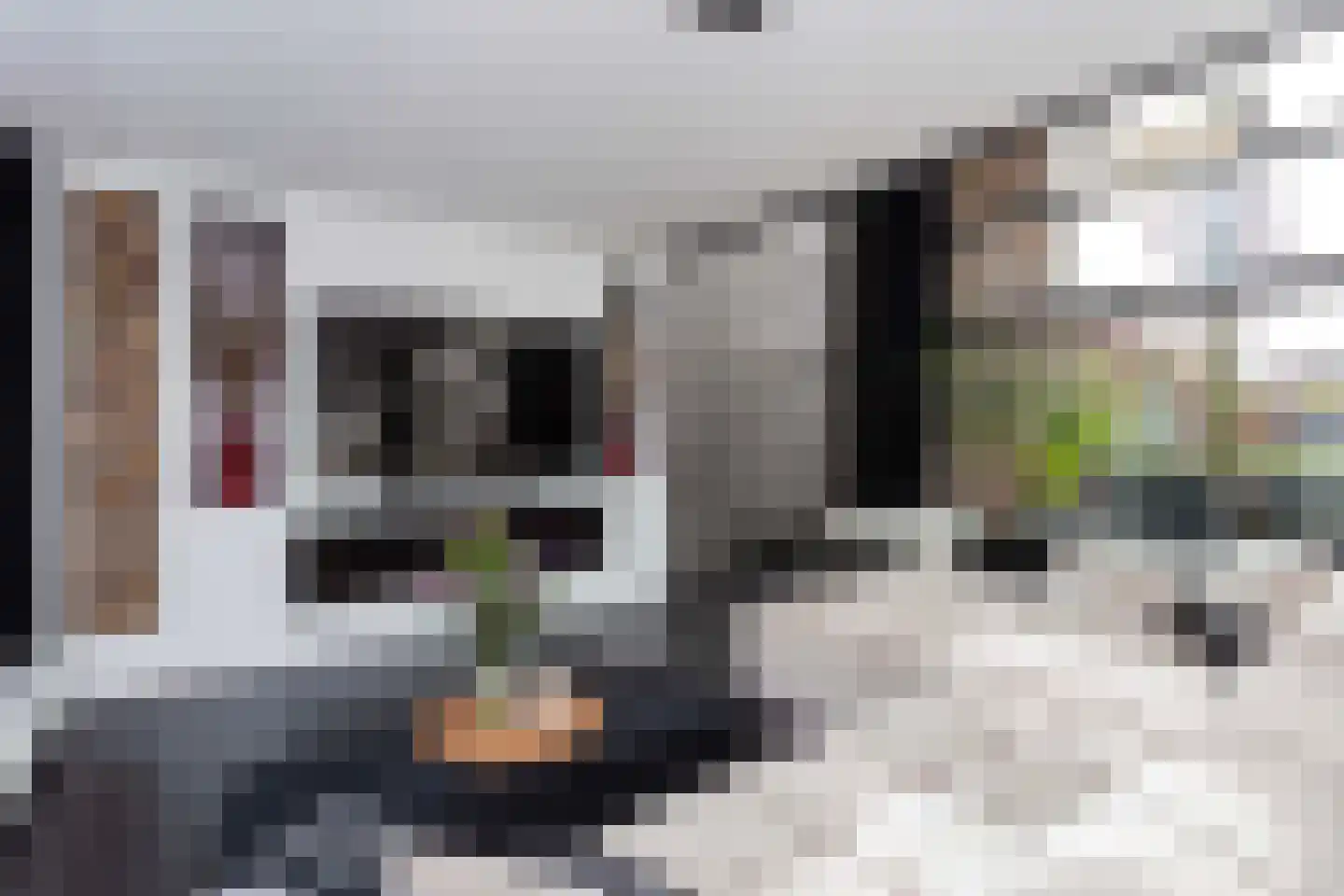 Leo Fallplantsoen 20 Utrecht thumbnail 9