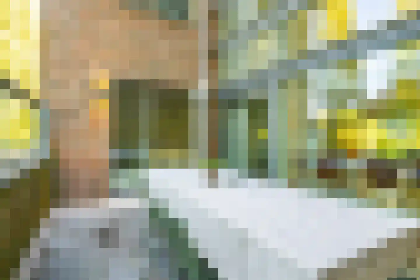 Leo Fallplantsoen 26 Utrecht thumbnail 62