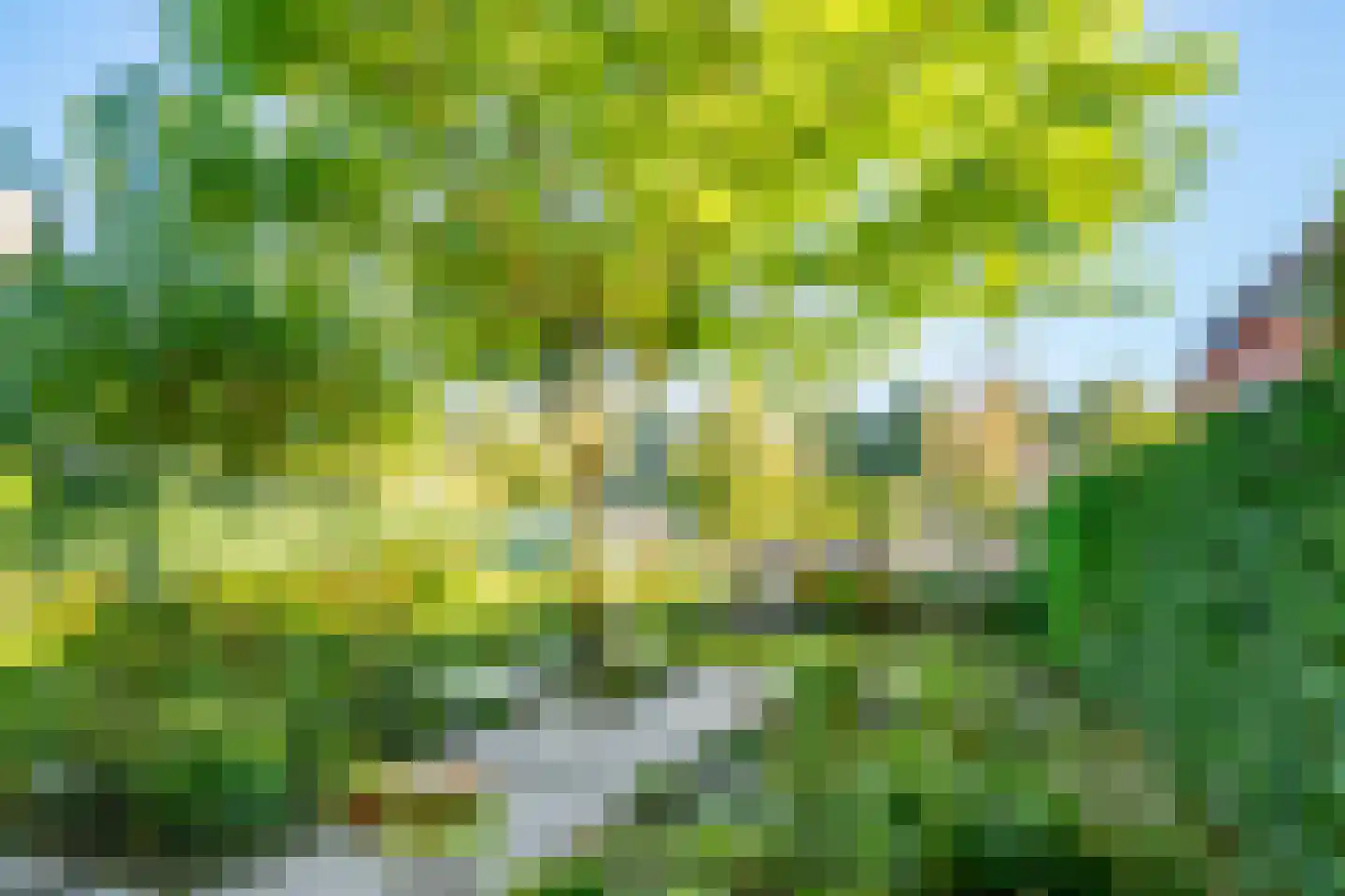 Leo Fallplantsoen 26 Utrecht thumbnail 64