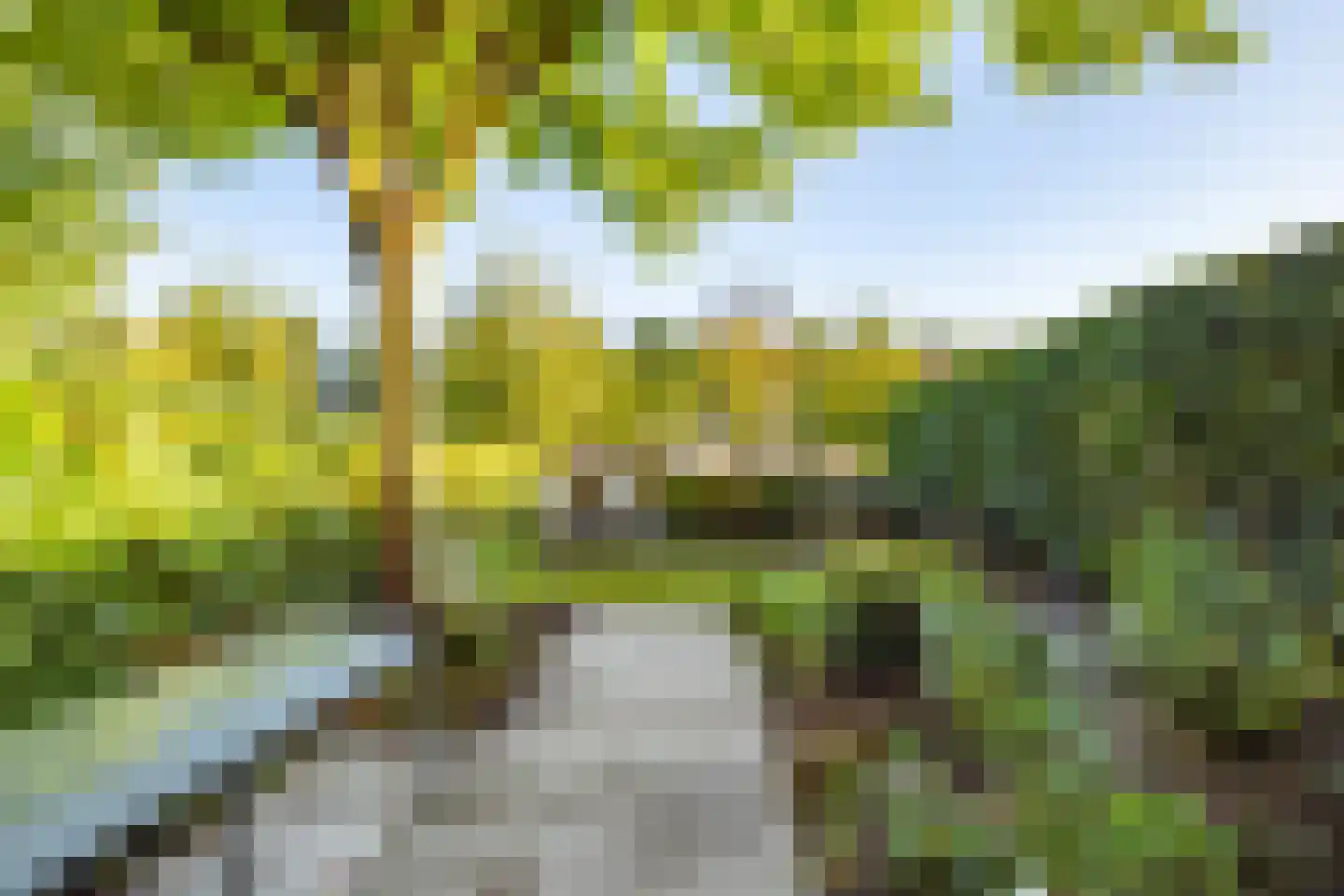 Leo Fallplantsoen 26 Utrecht thumbnail 66