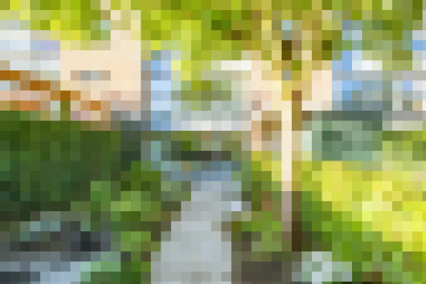 Leo Fallplantsoen 26 Utrecht thumbnail 67