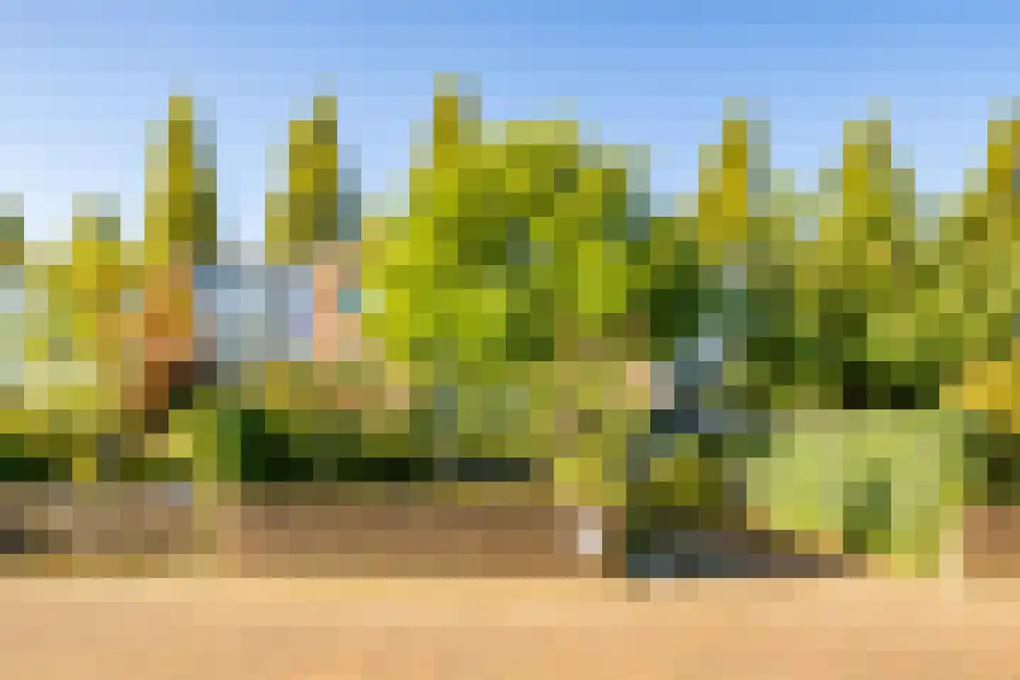 Leo Fallplantsoen 26 Utrecht thumbnail 7