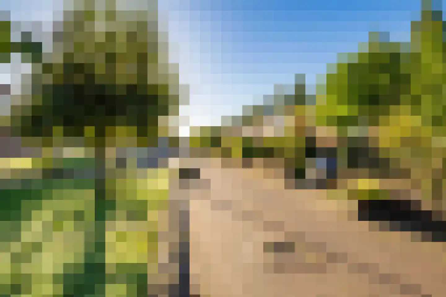 Leo Fallplantsoen 26 Utrecht thumbnail 73