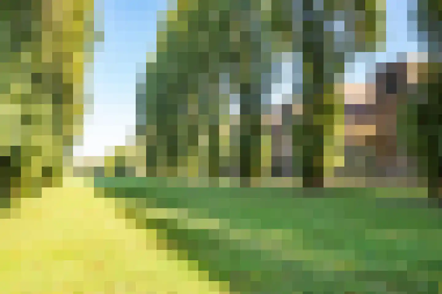 Leo Fallplantsoen 26 Utrecht thumbnail 77