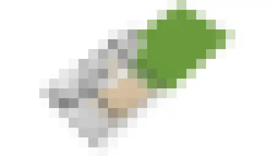 Leo Fallplantsoen 26 Utrecht thumbnail 85