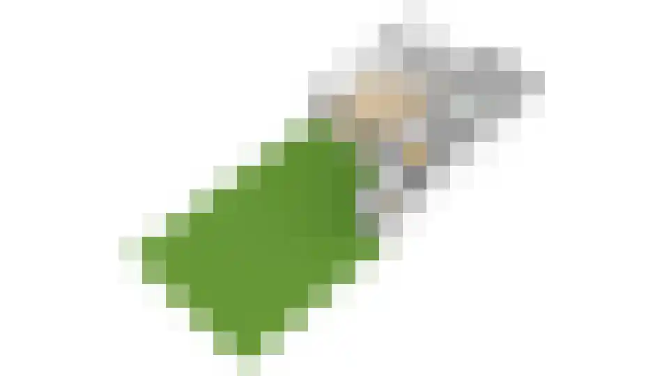 Leo Fallplantsoen 26 Utrecht thumbnail 86
