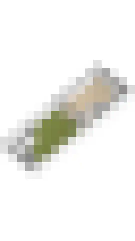 Leo Fallplantsoen 43 Utrecht thumbnail 40