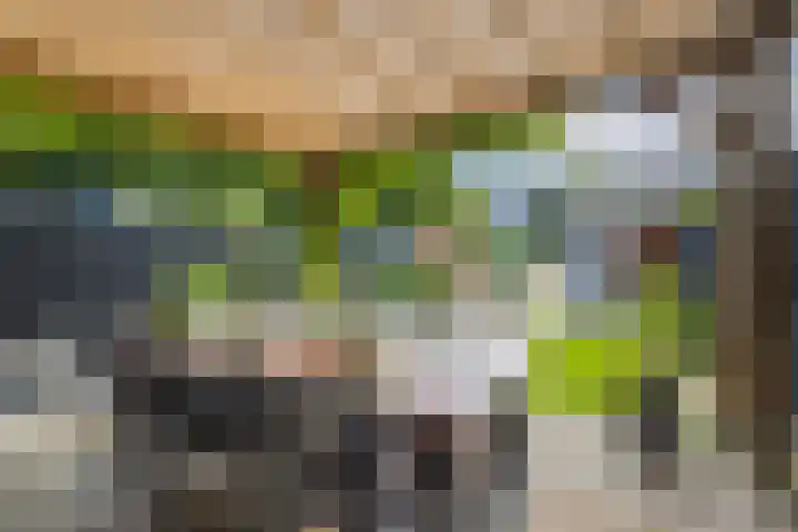 Leo Fallplantsoen 53 Utrecht thumbnail 10