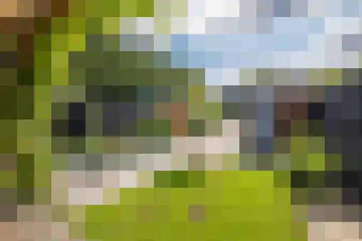 Leo Fallplantsoen 53 Utrecht thumbnail 11