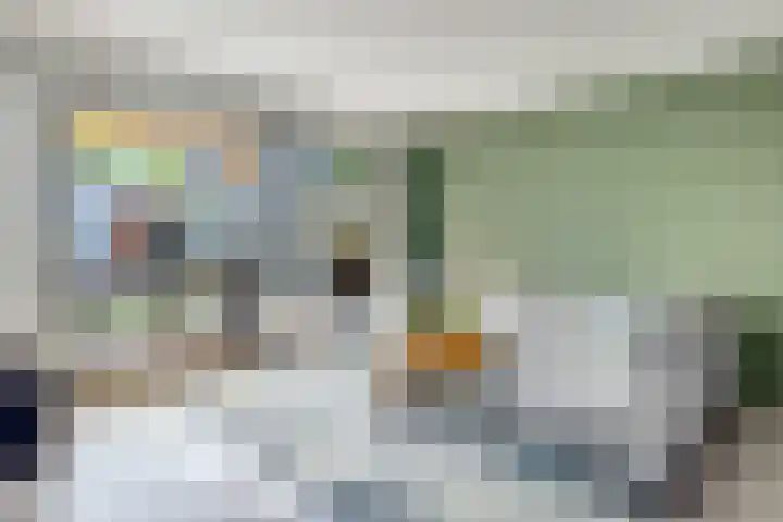 Leo Fallplantsoen 53 Utrecht thumbnail 15
