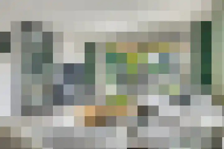 Leo Fallplantsoen 53 Utrecht thumbnail 16
