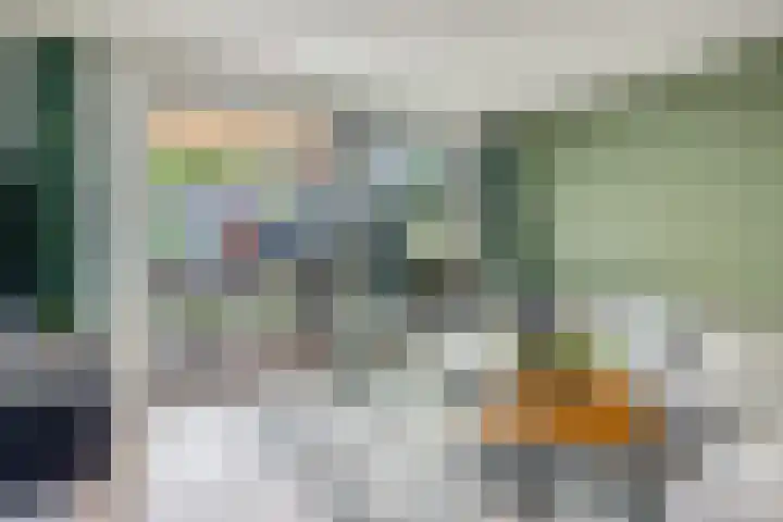 Leo Fallplantsoen 53 Utrecht thumbnail 17