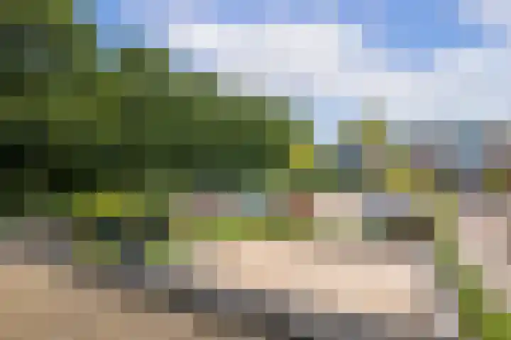 Leo Fallplantsoen 53 Utrecht thumbnail 31