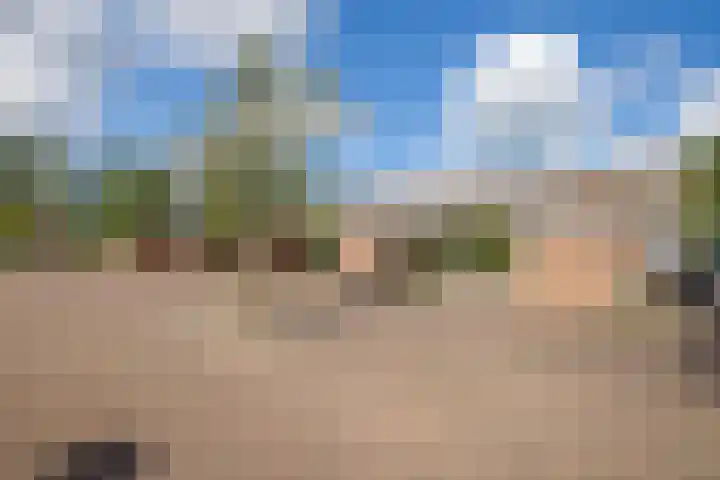 Leo Fallplantsoen 53 Utrecht thumbnail 36