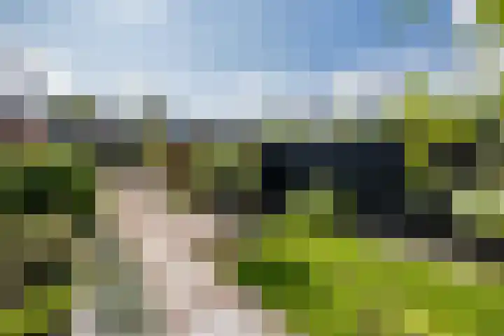 Leo Fallplantsoen 53 Utrecht thumbnail 39