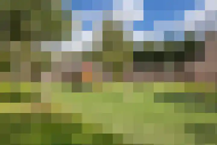 Leo Fallplantsoen 53 Utrecht thumbnail 40
