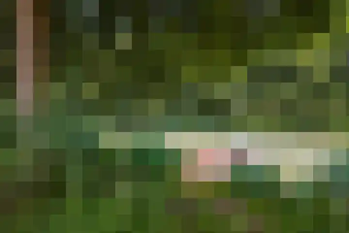 Leo Fallplantsoen 53 Utrecht thumbnail 41