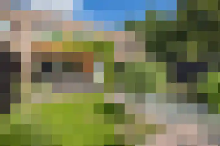 Leo Fallplantsoen 53 Utrecht thumbnail 5