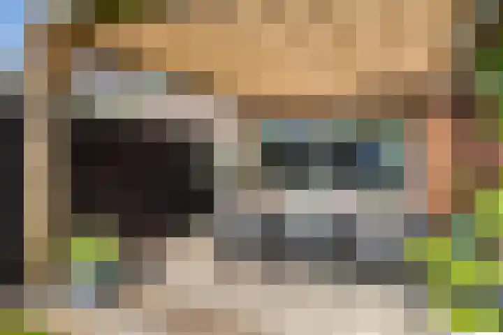 Leo Fallplantsoen 53 Utrecht thumbnail 7