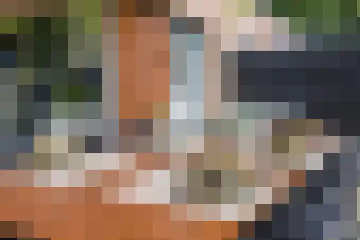 Leo Fallplantsoen 53 Utrecht thumbnail 8