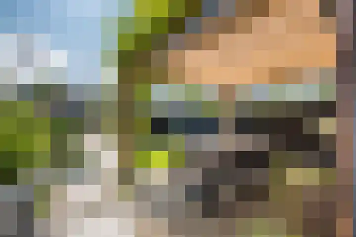 Leo Fallplantsoen 53 Utrecht thumbnail 9