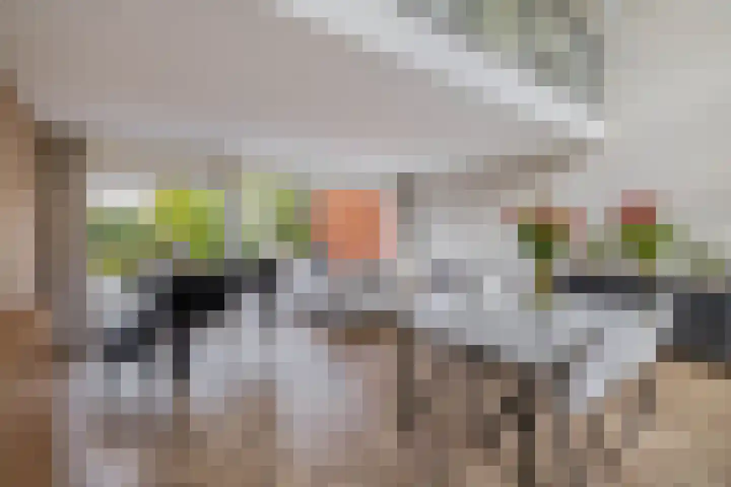Leo Fallplantsoen 70 Utrecht thumbnail 15