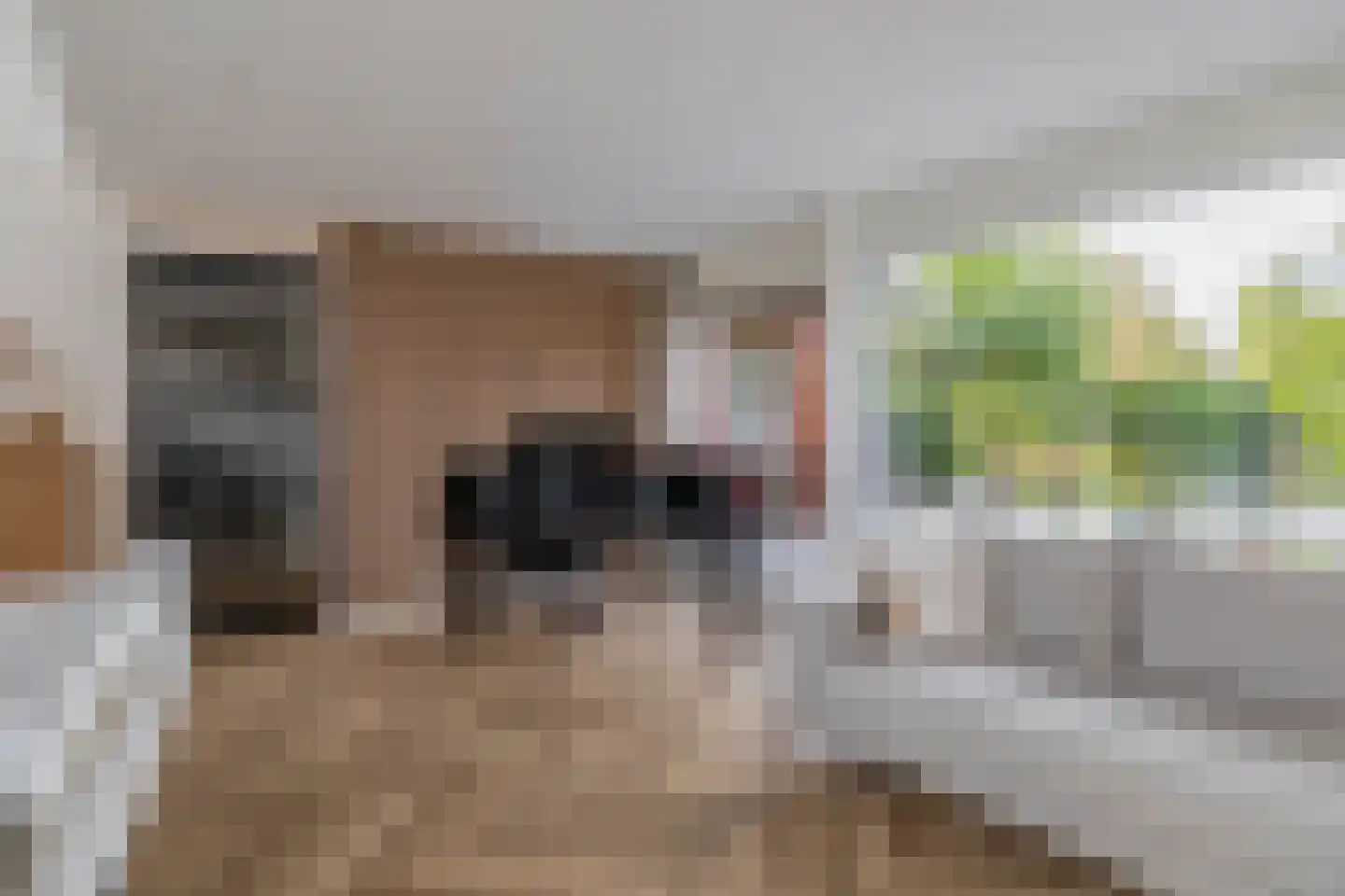 Leo Fallplantsoen 70 Utrecht thumbnail 18