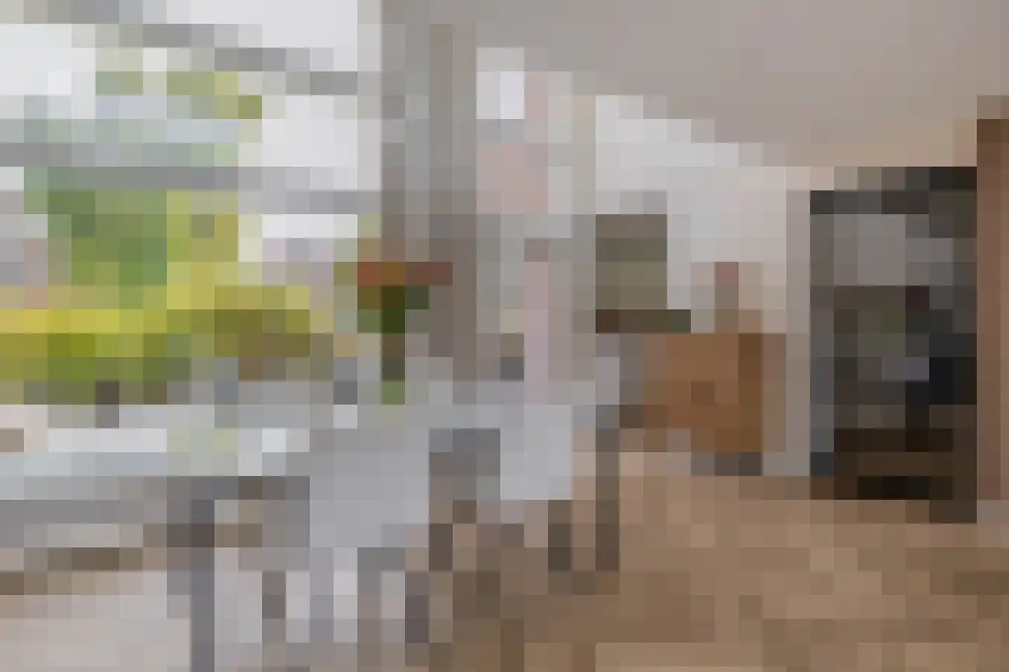 Leo Fallplantsoen 70 Utrecht thumbnail 19