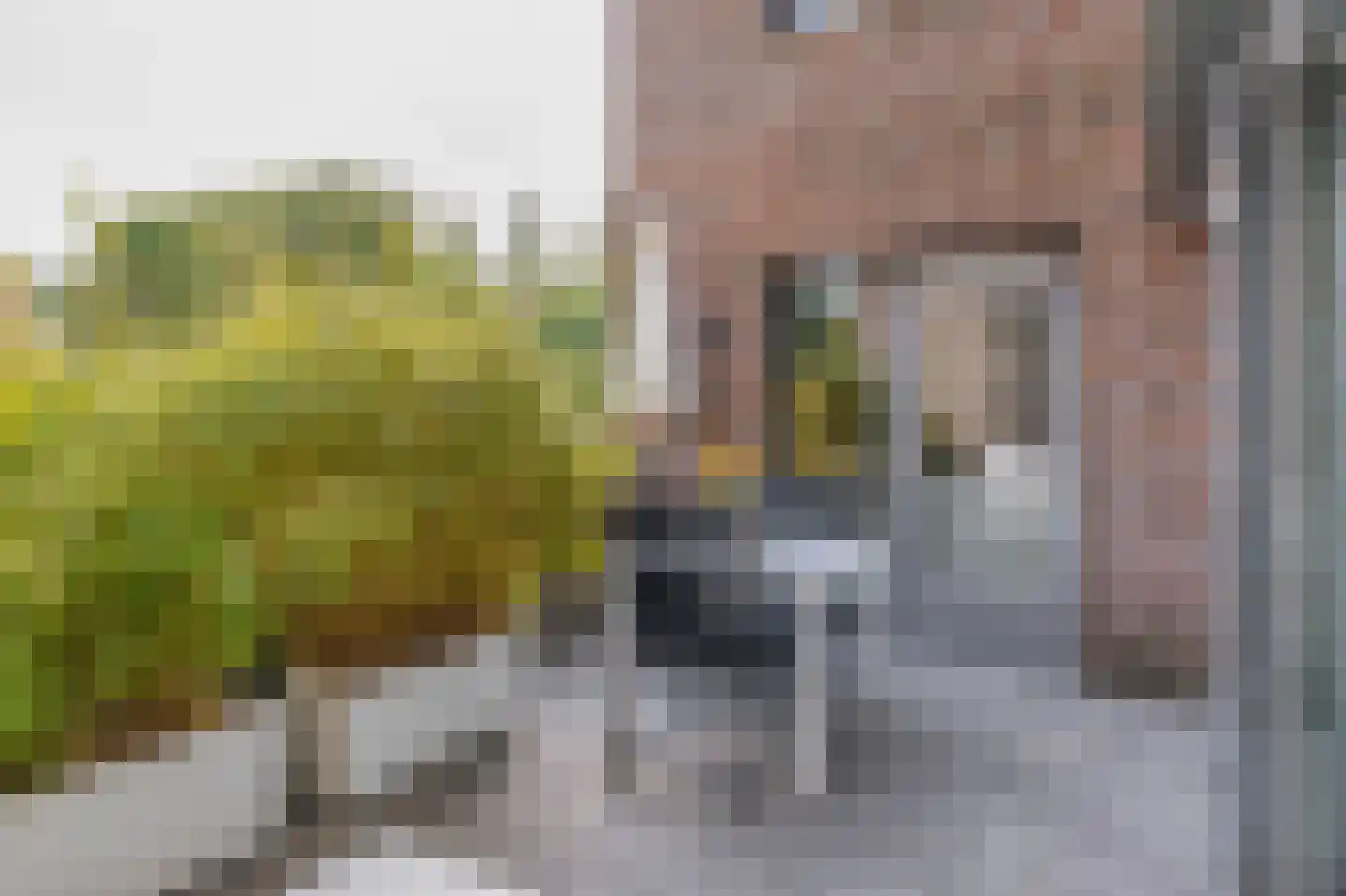 Leo Fallplantsoen 70 Utrecht thumbnail 28