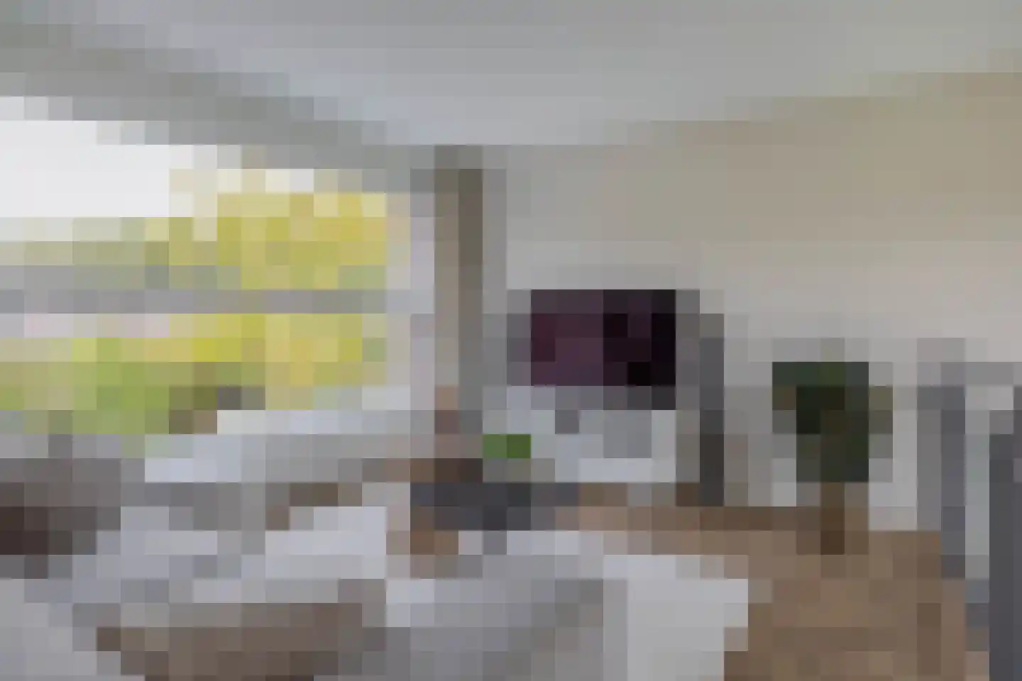 Leo Fallplantsoen 70 Utrecht thumbnail 33