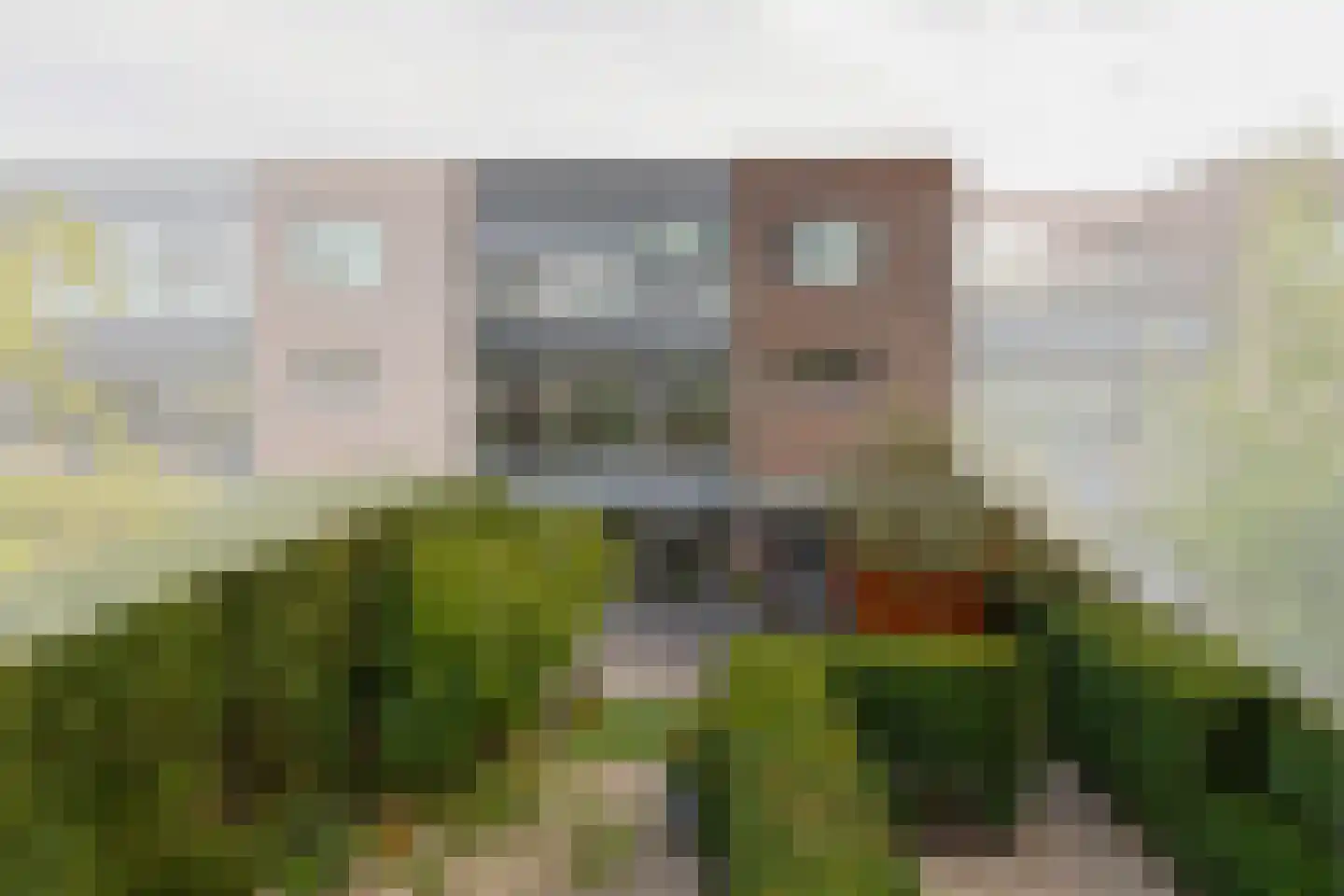 Leo Fallplantsoen 70 Utrecht thumbnail 4