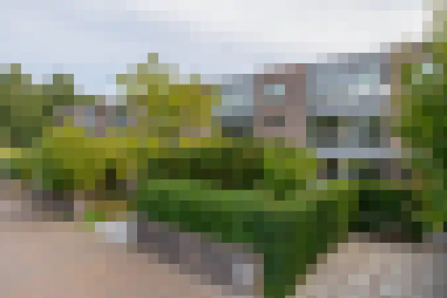 Leo Fallplantsoen 70 Utrecht thumbnail 6