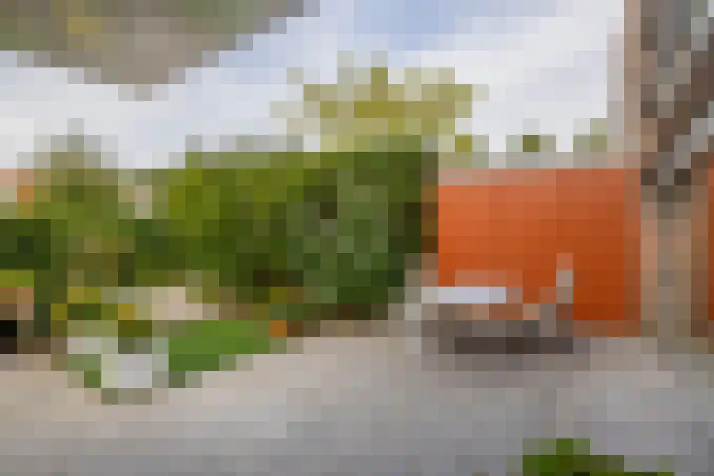 Leo Fallplantsoen 70 Utrecht thumbnail 8