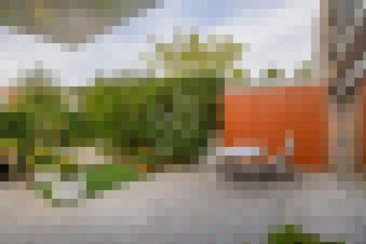 Leo Fallplantsoen 70 Utrecht thumbnail 9