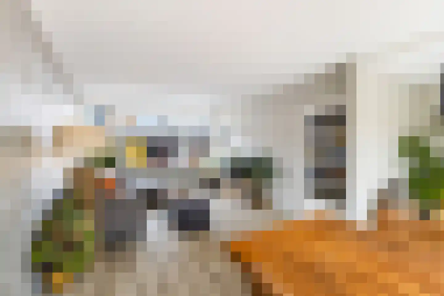 Leo Gestelstraat 1 Woerden thumbnail 10