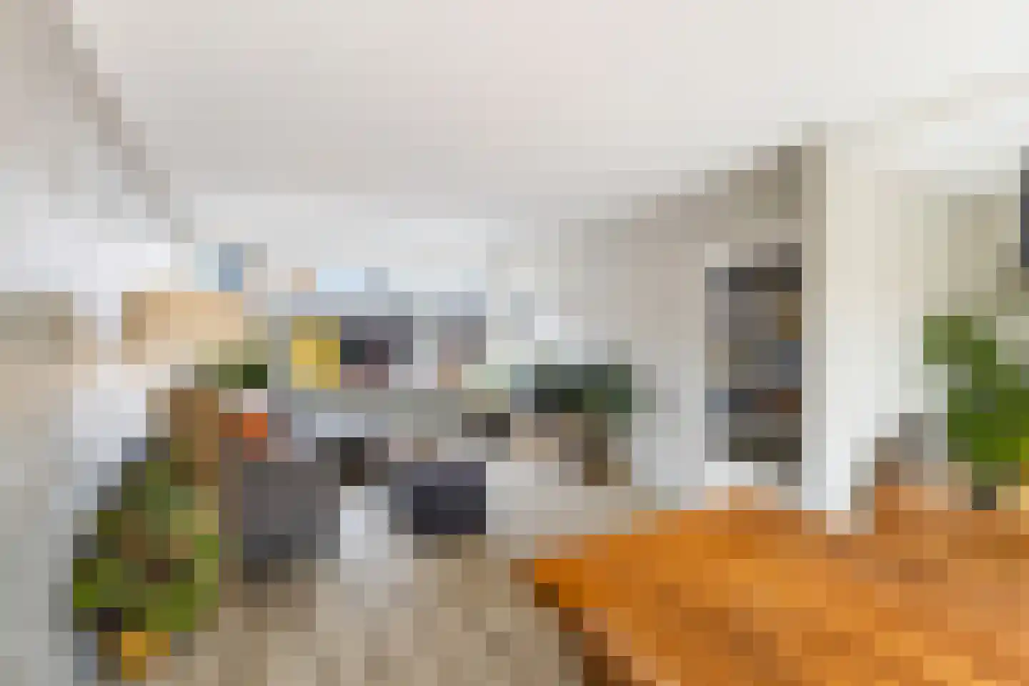Leo Gestelstraat 1 Woerden thumbnail 11