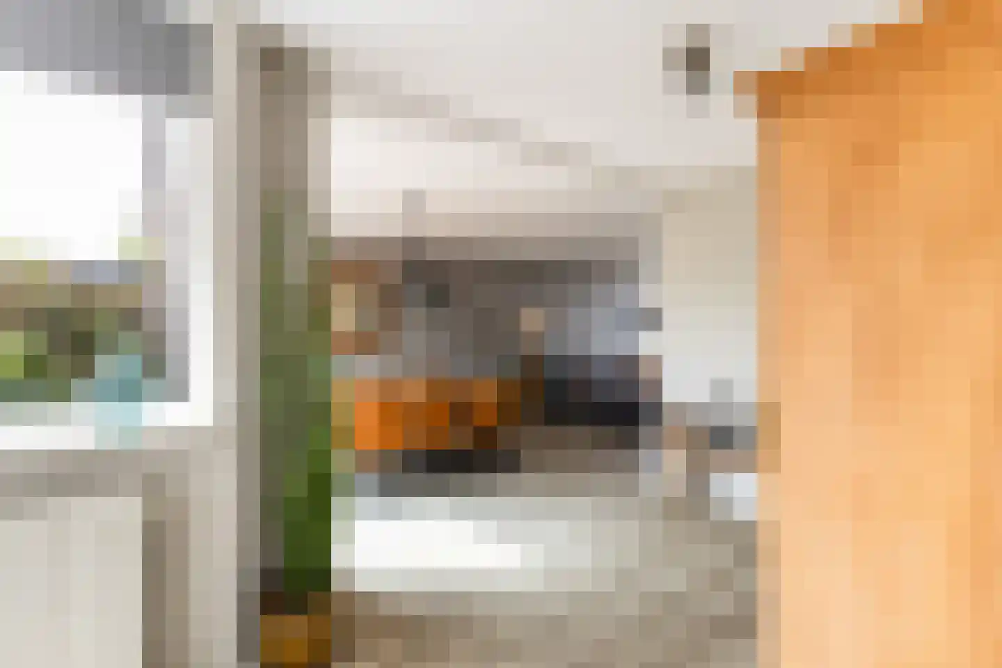 Leo Gestelstraat 1 Woerden thumbnail 12