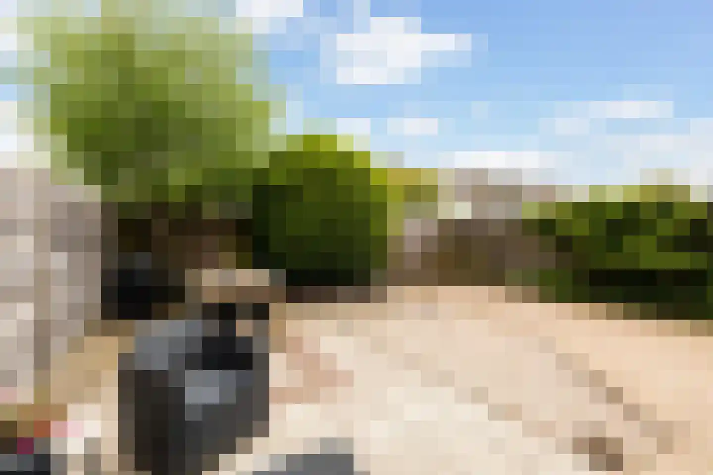 Leo Gestelstraat 1 Woerden thumbnail 18