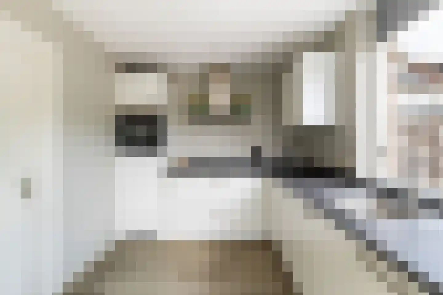 Leo Gestelstraat 1 Woerden thumbnail 21