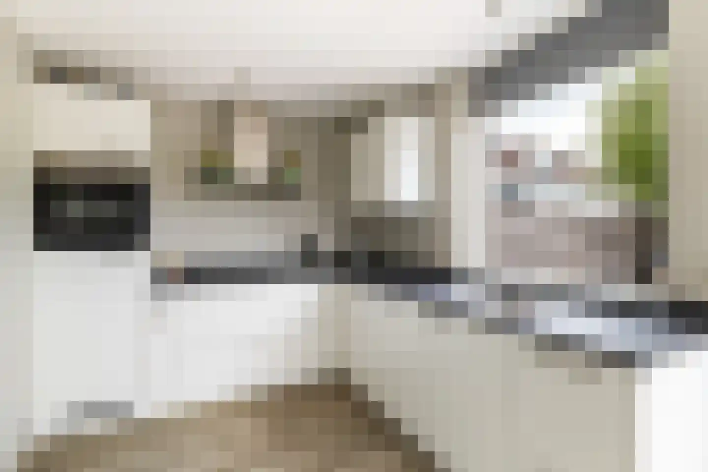 Leo Gestelstraat 1 Woerden thumbnail 22
