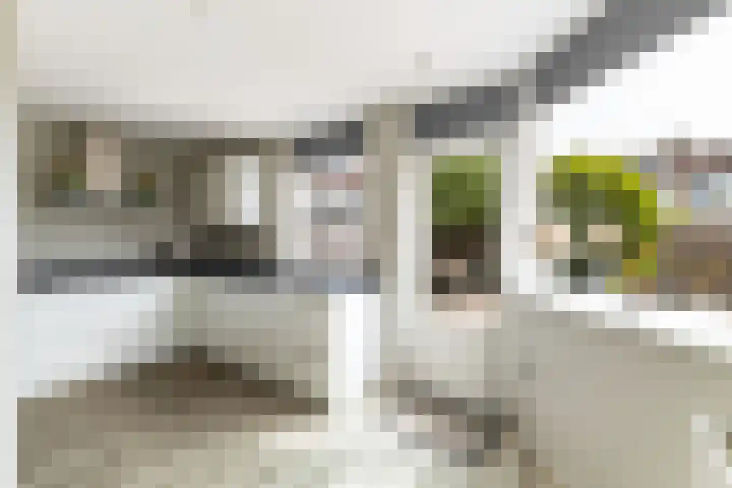 Leo Gestelstraat 1 Woerden thumbnail 25