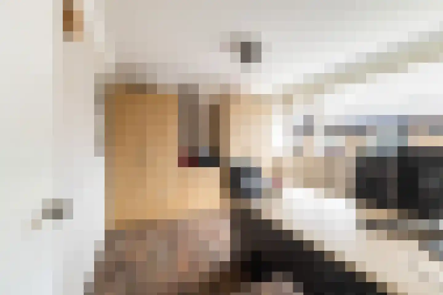 Leo Gestelstraat 1 Woerden thumbnail 29