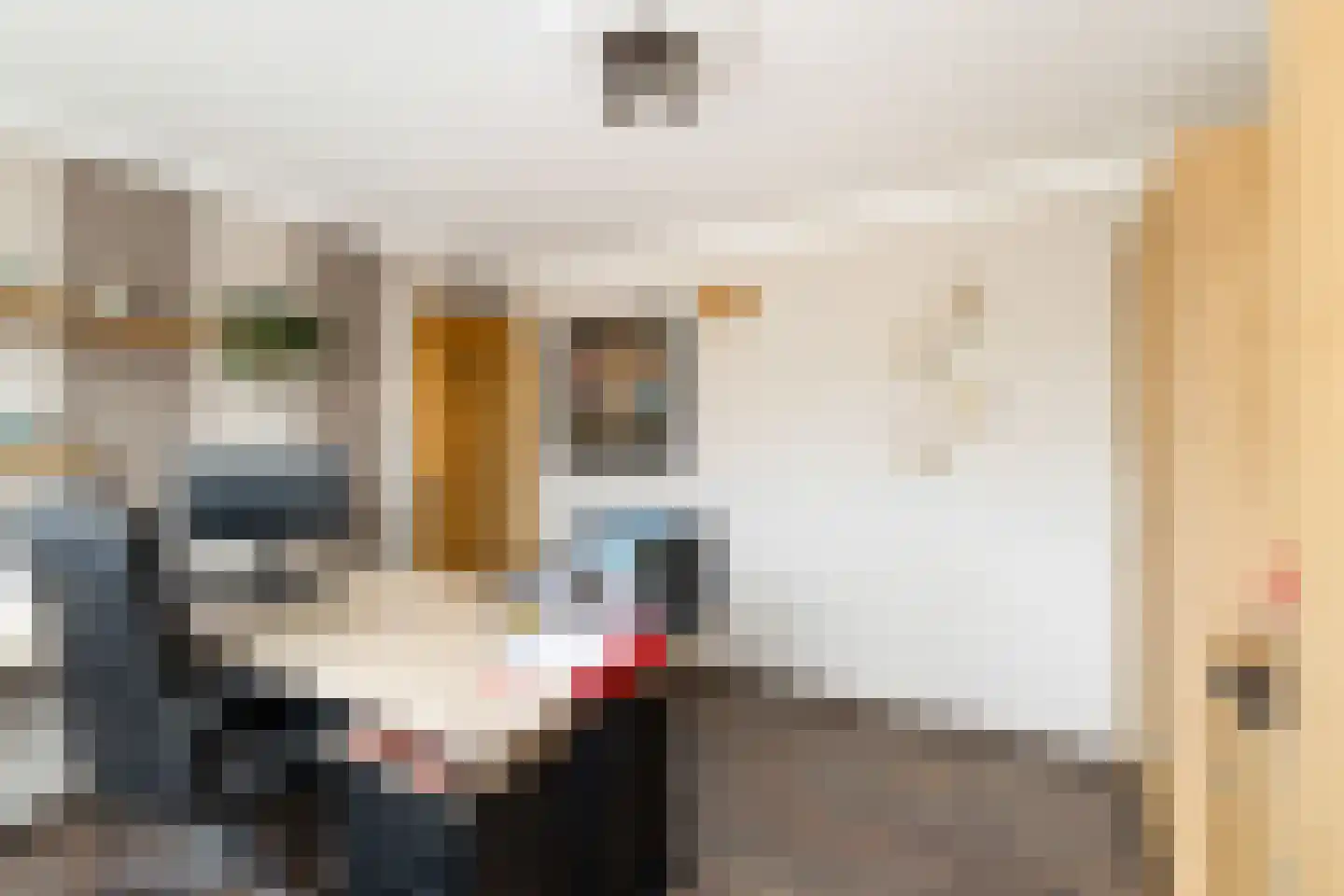 Leo Gestelstraat 1 Woerden thumbnail 31