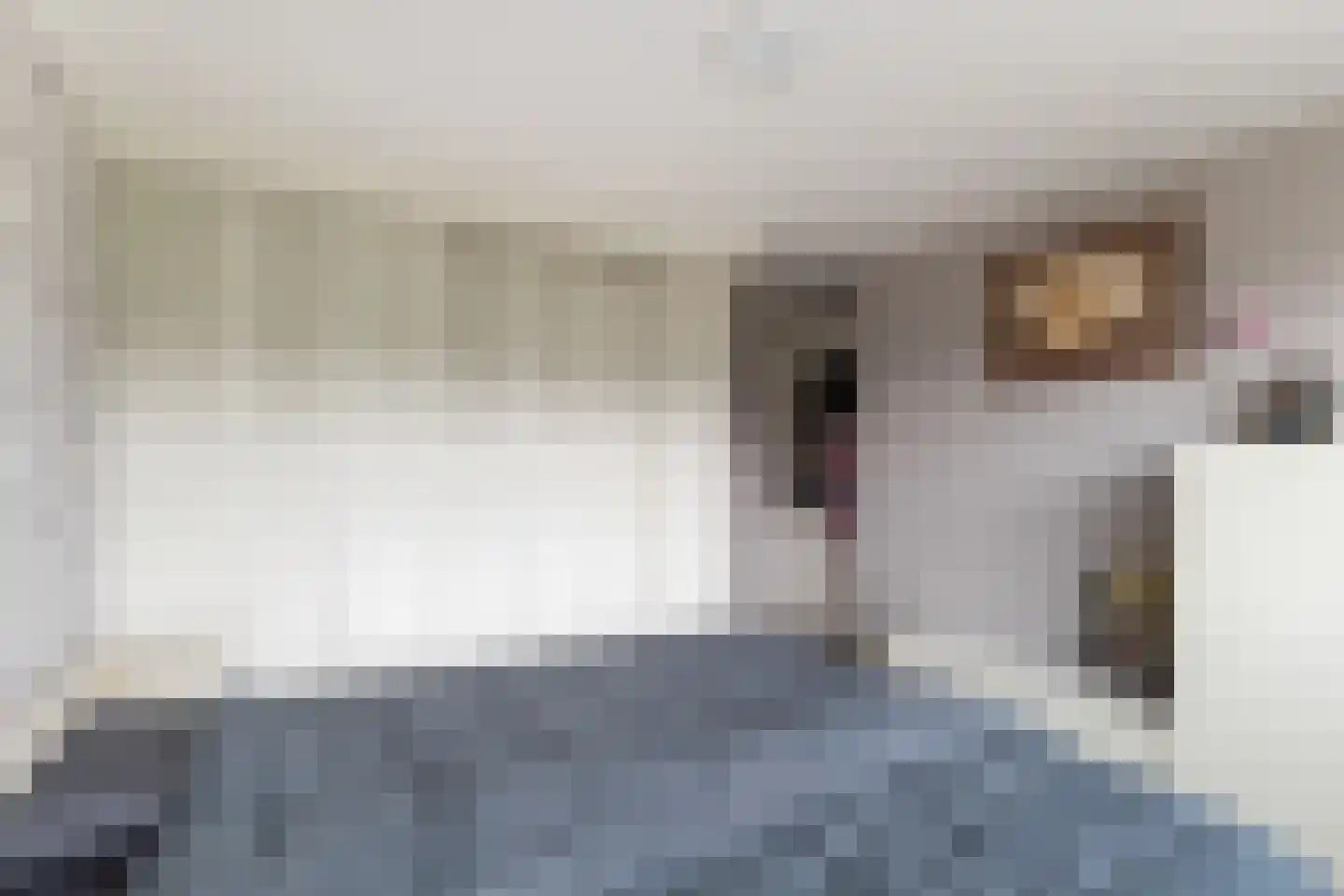 Leo Gestelstraat 1 Woerden thumbnail 36