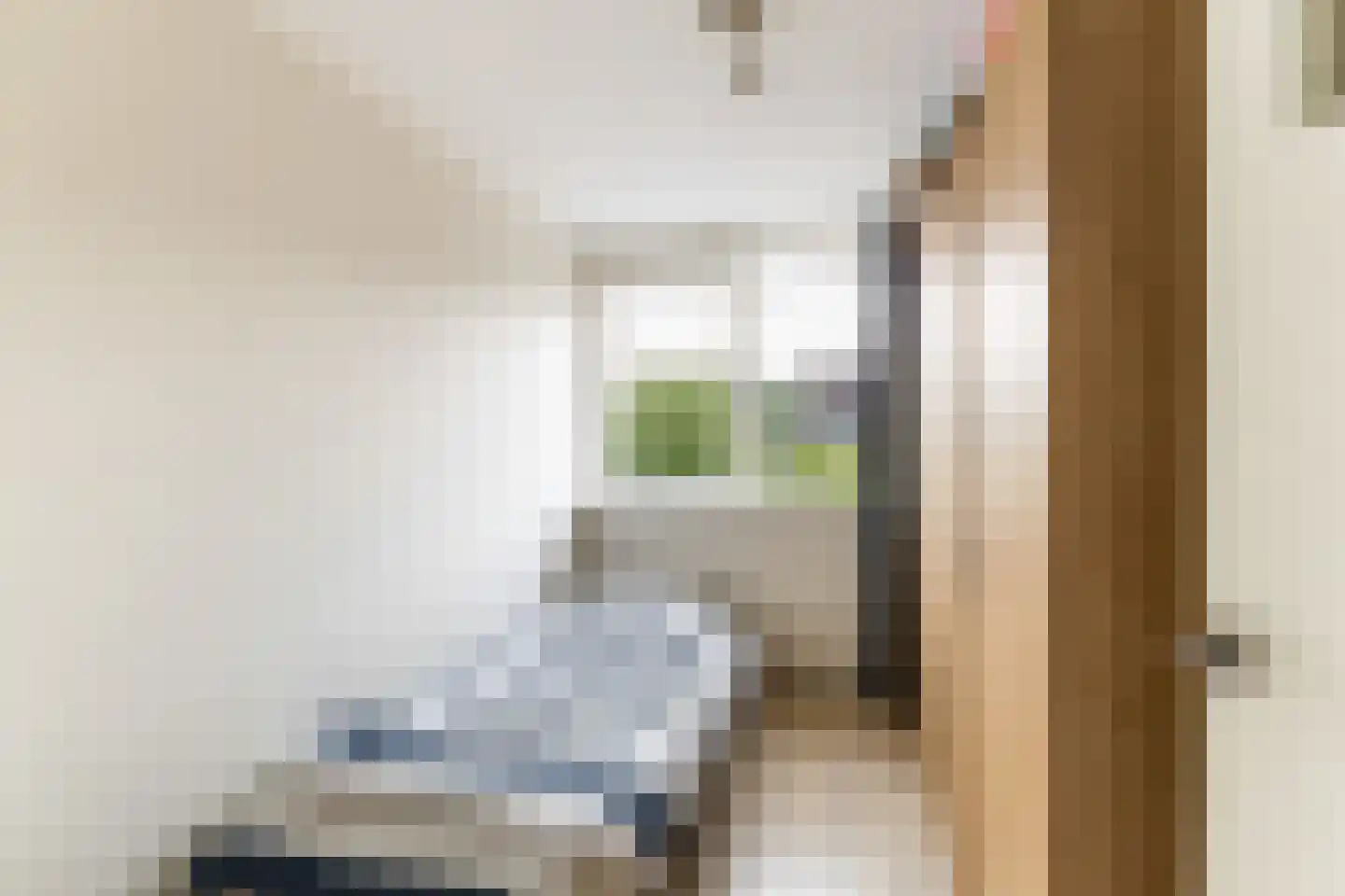 Leo Gestelstraat 1 Woerden thumbnail 37