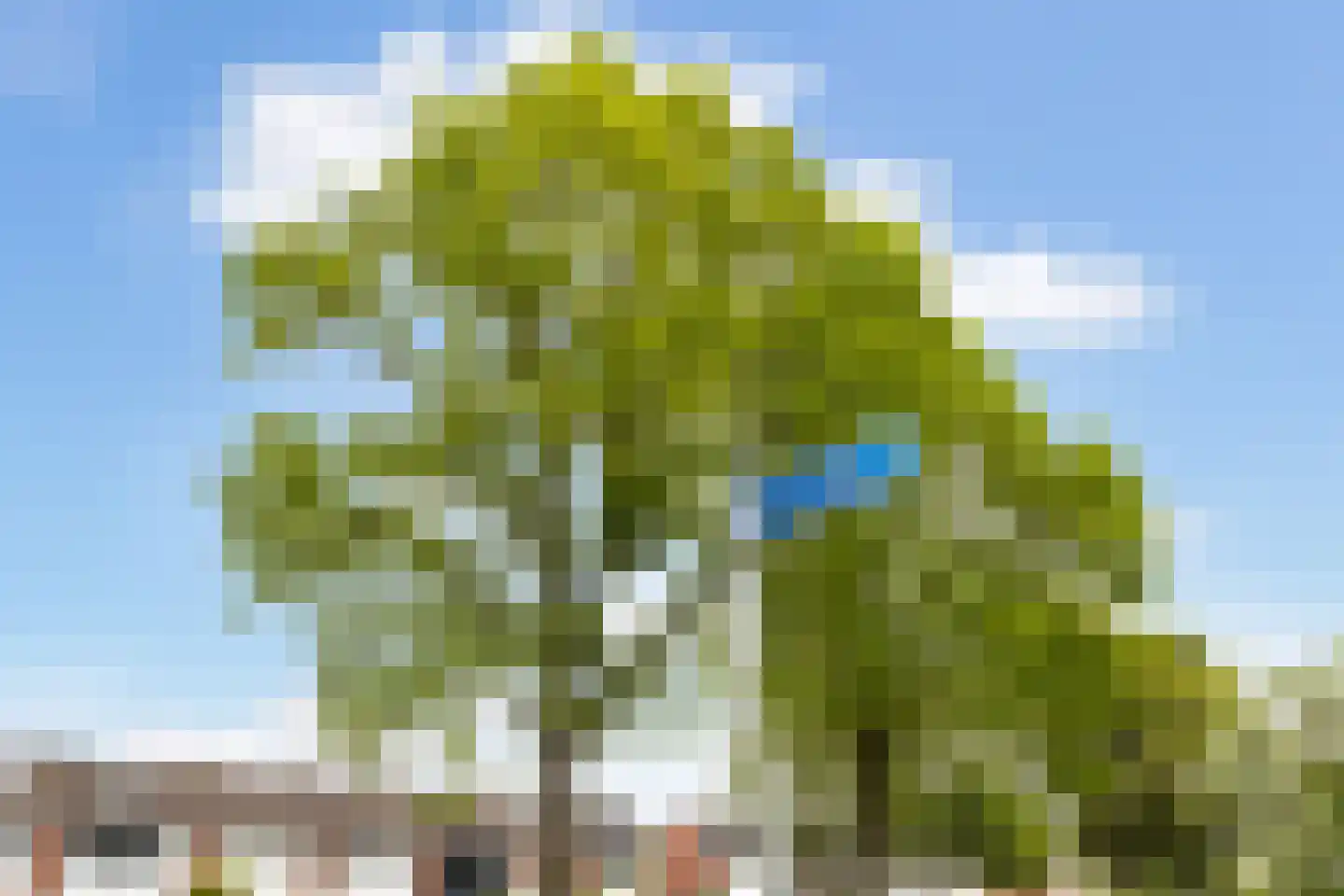 Leo Gestelstraat 1 Woerden thumbnail 4