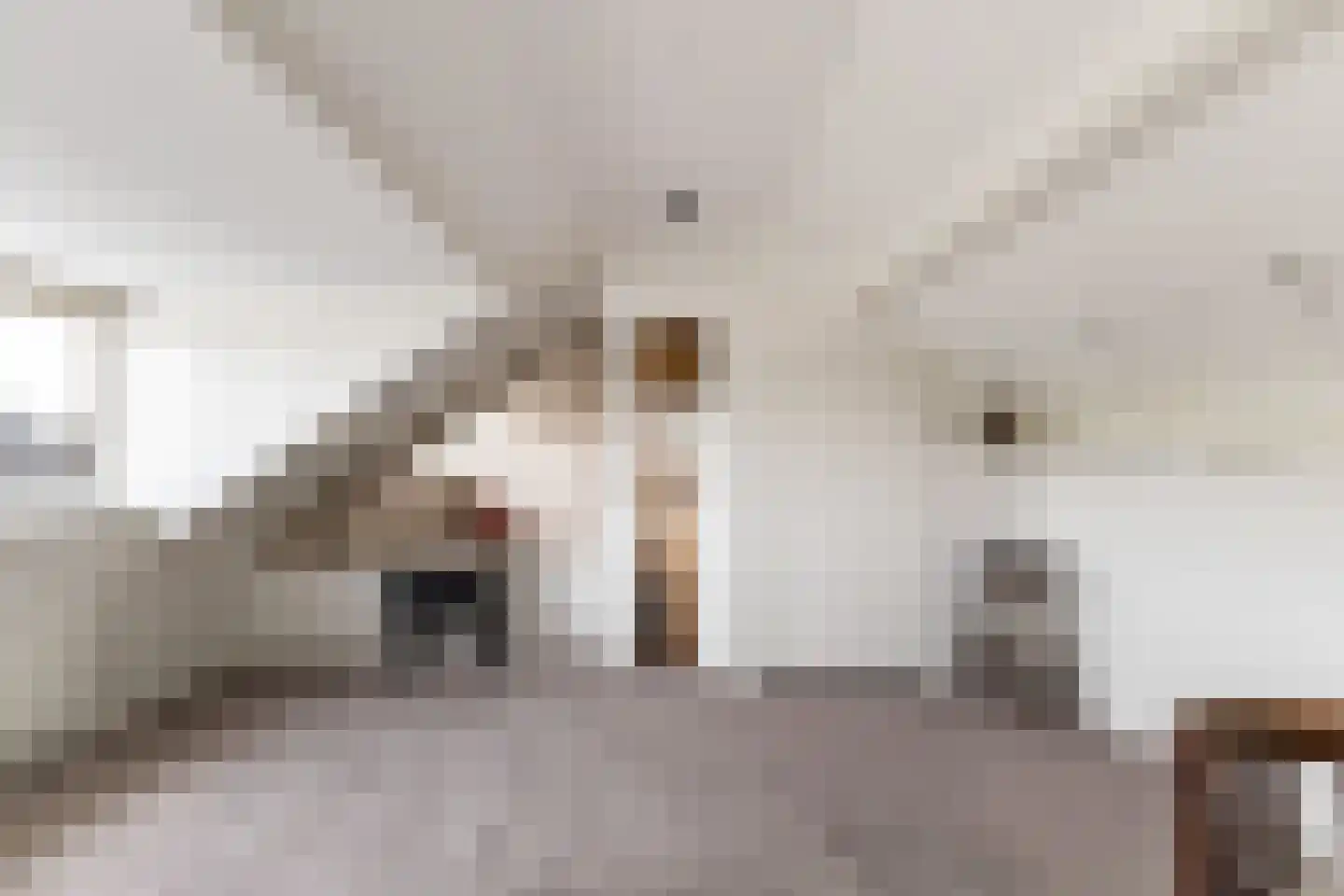 Leo Gestelstraat 1 Woerden thumbnail 45